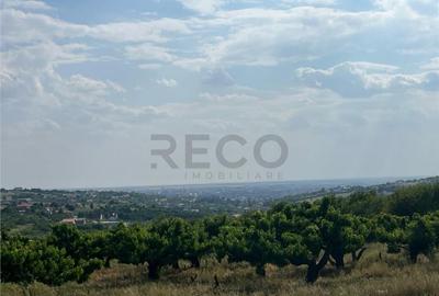 RECO Teren intravilan 850 mp -panorama oras- Saldabagiu de M RECO Teren intravilan 850 mp -panorama oras- Saldabagiu de M - 1