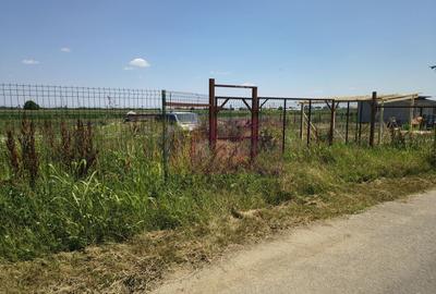 Teren Construcții intravilan de 582 mp, în Copăceni - 22