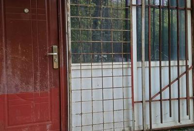 Spațiu comercial, de 139 mp, în Basarabia - 2