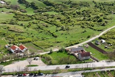 Teren Construcții intravilan de 2000 mp, în Daia - 8