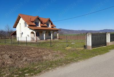 Casă cu Teren 3516 Mp în Aurel Vlaicu - 4