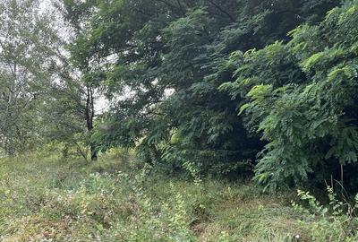 VAND TEREN PENTRU CONSTRUCTII, COM.CETATENI - ARGES - 4