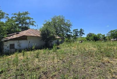 Casă cu 2 camere în Costești - 2