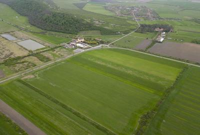 Teren extravilan de 22500mp Zona Ineu - 12