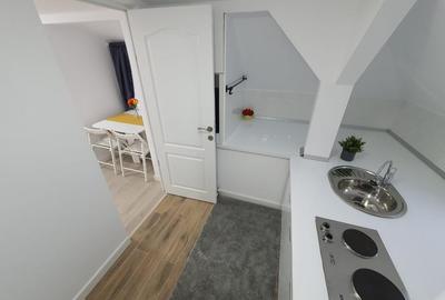 Garsonieră semidecomandată, mobilată în Parcul Carol - 9