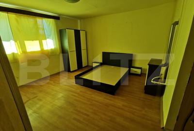 Casa renovabila, 2 camere, zona Cetate - 5