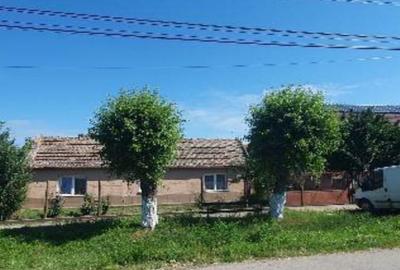 Cota 1/2 din casa situata in loc. Carpinis, jud. Timis