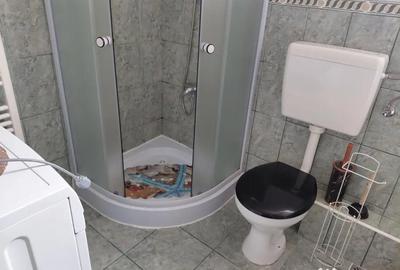 Garsonieră decomandată în Turnișor - 7