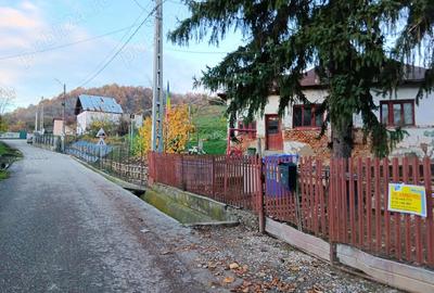 Teren, 1665 mp, casa veche, Mioveni - 3