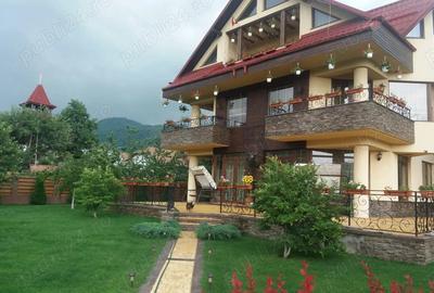 Casă cu 6 camere cu Teren 1560 Mp în Valea Doftanei - 10