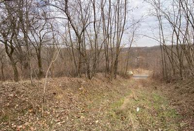 Teren Construcții intravilan de 2889 mp, în Albota