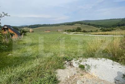 Teren de vanzare zona Subcetate, aproape de str. Tarp - 5