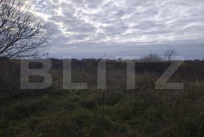 Teren de 10925 mp, în Sânmartin - 1