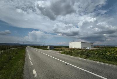 Teren industrial Ozun - Sfantul Gheorghe 11.800 mp - 6