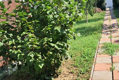 Dumbravita-apartament in triplex-190.000 € Dumbravita-apartament in triplex-190.000 € - 40