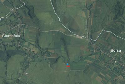 Teren agricol extravilan de 3000 mp, în Borșa - 5