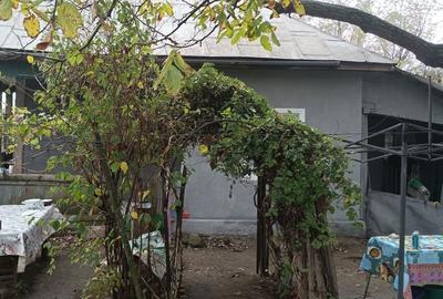 Casă cu 3 camere cu Teren 2493 Mp în Pădina - 10