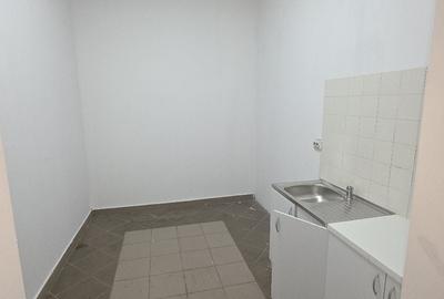 Spațiu industrial, de 550 mp, în Theodor Pallady - 15