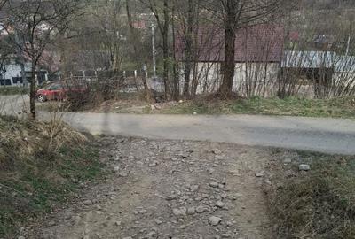 Spațiu comercial, în Valea Vișeului - 4