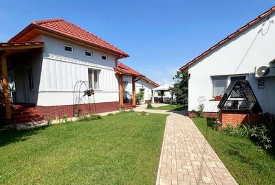 Casa de vanzare in Sebes - 10