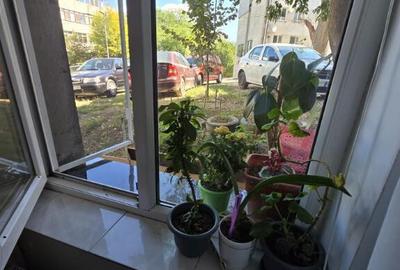 Apartament 2 camere str ION LUCA CARAGIALE - 5