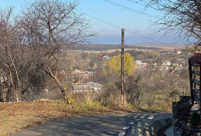 Vanzare  1400mp teren imprejmuit 2 loturi pt casa Adancata - sub padure - 19