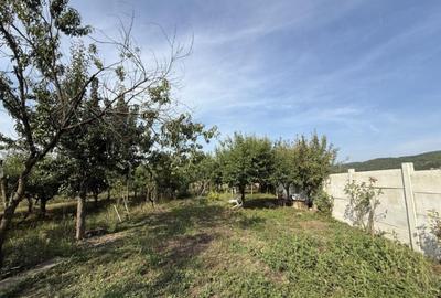 Casa Copacelu Valcea P+1+M - 3