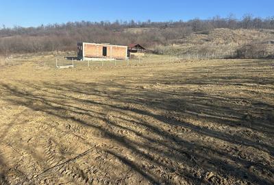 Spațiu comercial, în Vlădiceni