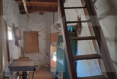 Casa taraneasca cu 3 camere, Turia Jos, - 22