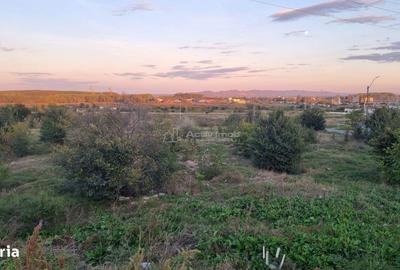 Spațiu comercial, în Centură - 3