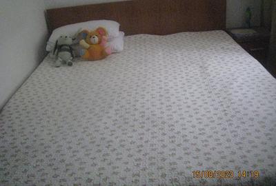 Casă cu 4 camere cu Teren 237 Mp în Tancodrom - 2