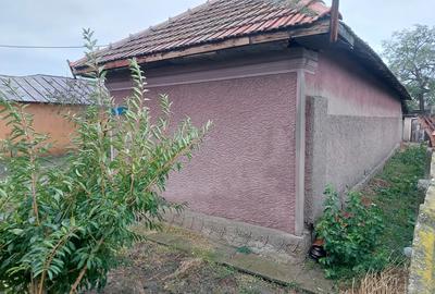 Casa cu teren Alexandria 504mp - 9