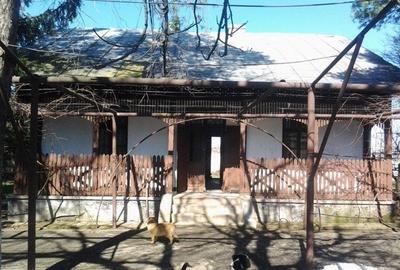 Teren Construcții intravilan de 37 mp, în Mogoșești - 11