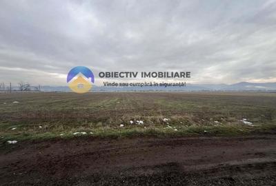 Teren de 4500 mp, în Dumbrava