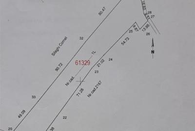 RECO Teren Saldobagiu de munte - 3
