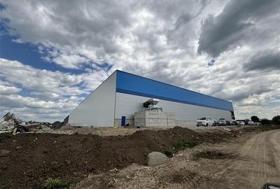 Inchiriere depozit/hala/spatiu industrial Otopeni - Odaii - Centura - 4