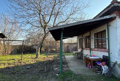 Casă cu 3 camere în Jiul