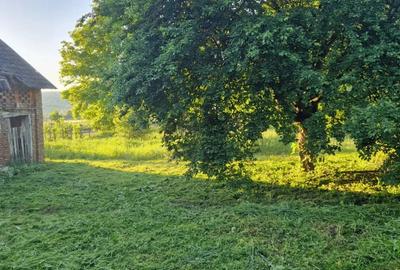 Casa cu teren intravilan 32 ari Seuca - 10