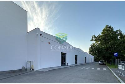 Hala depozitare / logistica Zona Obor - 9