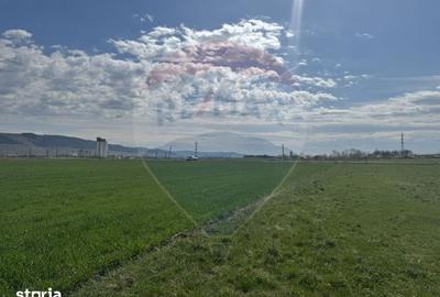 Teren de 8600 mp, în Iclod - 10