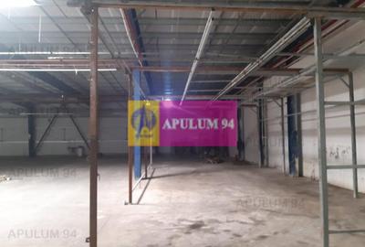 Spațiu industrial, de 4,850 mp, în 1 Decembrie - 3