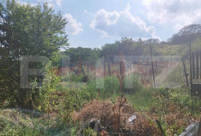 Teren, 3600mp, Drumul Vinului - 2