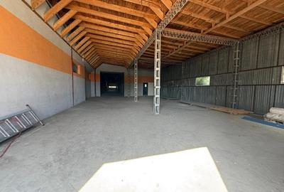 HALĂ INDUSTRIALĂ 8530 MP TEREN ȘI 3300 MP CONSTRUCȚII - 11