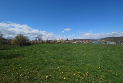 Casă individuală cu 4 camere cu Teren 3892 Mp în Baia de Criș - 17