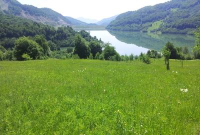 Teren Construcții intravilan de 73000 mp, în Siriu - 4