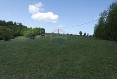 Teren extravilan de 7500 mp, în Preluca Nouă - 2