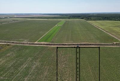 Teren intravilan langa padure Corbeanca Park - 5