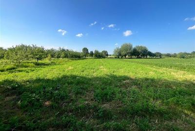 TEREN INTRAVILAN, 1200 mp, HARMAN, COMISION 0% - 1