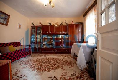 Casă cu 5 camere cu Teren 3365 Mp în Conțești - 13