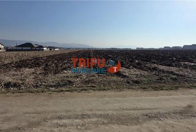 Teren de 2097 mp, în Central